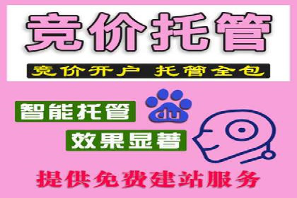 行业内的SEM竞价代运营公司优秀案例剖析